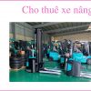 Cho-thue-xe-nang-ban-xe-nang-tay-sua-chua-xe-nang-tay-vo-xe-nang-Binh-Duong-Tphcm-Dong-nai-Binh-Phuoc-Tay-Ninh-Long-An-Tien-Giang-Can-tho (9)