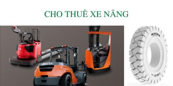 Thue xe nang Binh Duong Dong Nai Tphcm Binh Phuoc Tay Ninh Cu Chi hoc Mon tien Giang Long An 2