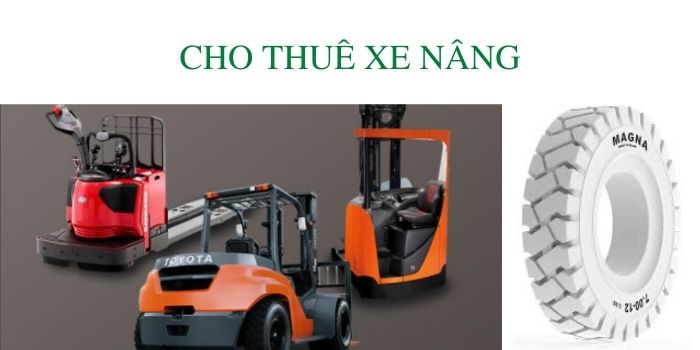 Thue xe nang Binh Duong Dong Nai Tphcm Binh Phuoc Tay Ninh Cu Chi hoc Mon tien Giang Long An 2
