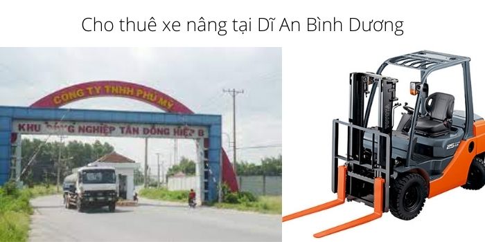 Thue xe nang tai KCN My Phuoc Viet huong Dai Dang 5